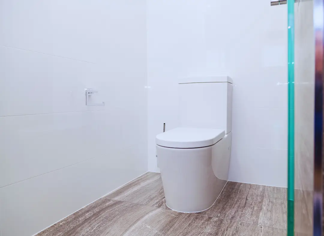 Remplacement de wc Ludon-Médoc